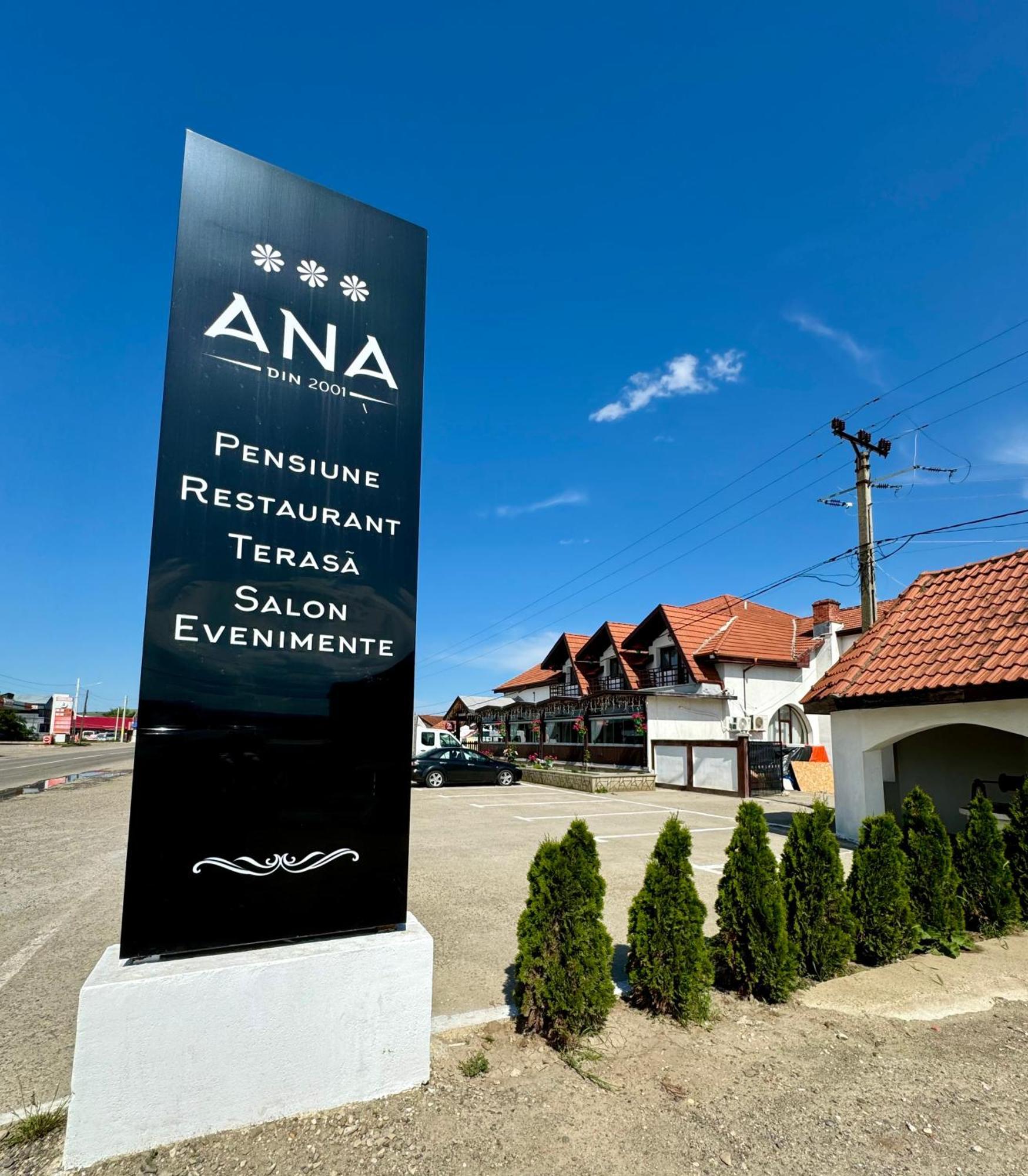 Pensiunea Ana Пьятра-Нямц Экстерьер фото